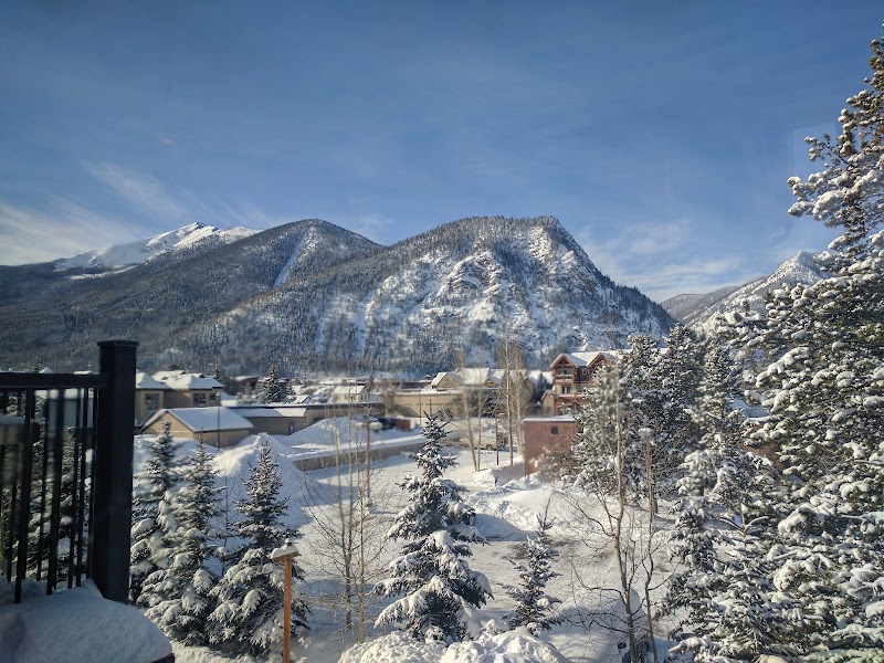 Diane Harty Millinery