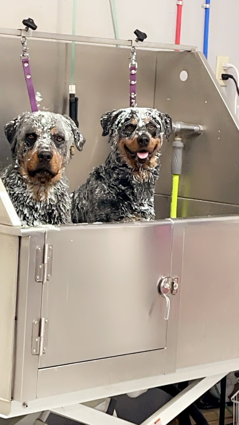 Barks N Bubbles Dog Spa