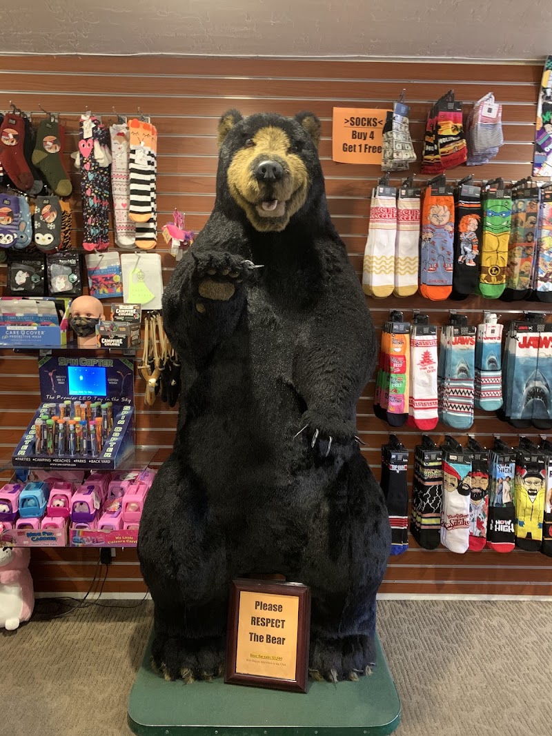 Bear Essentials