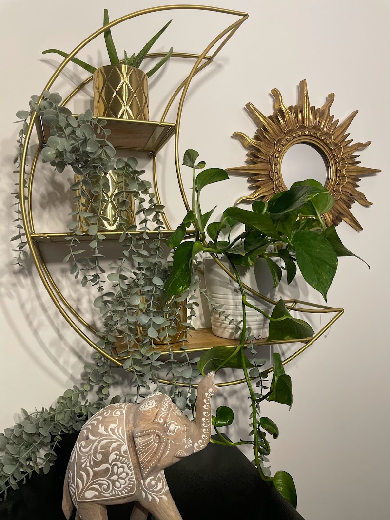 Medical Massage Network, LLC, DBA / FabSilhouette