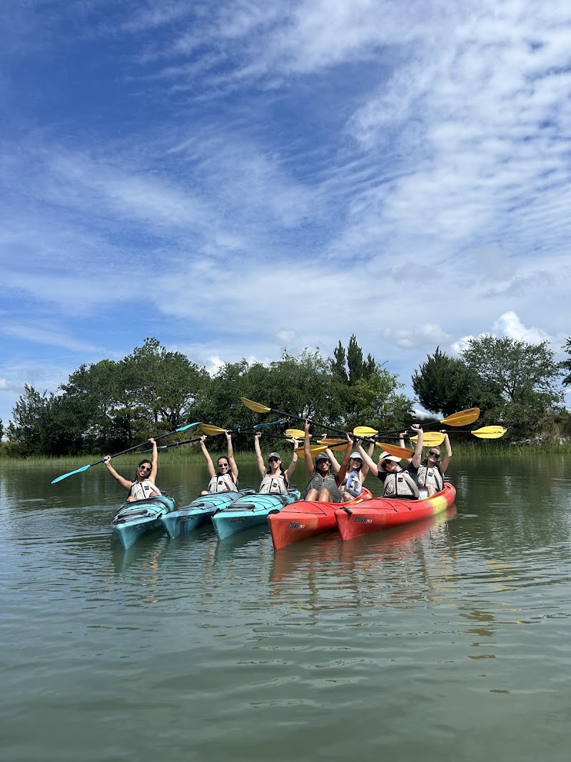 Charleston SUP Safaris