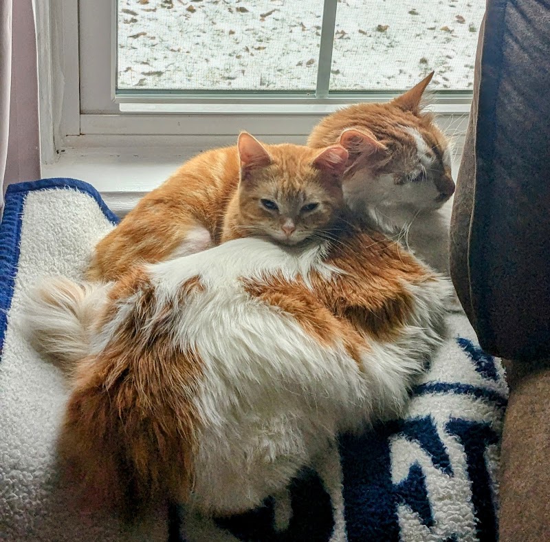 Beaver County Humane Society