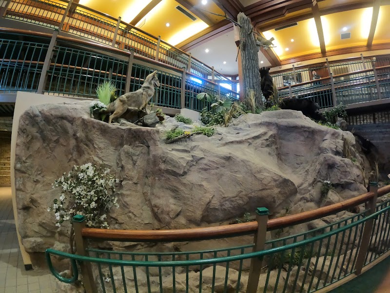 Consolidated Gold Mines