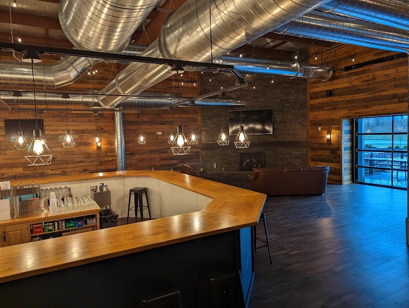 Bald Birds Brewing Co.