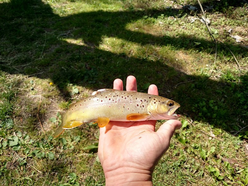 Tussey Mountain Outfitters