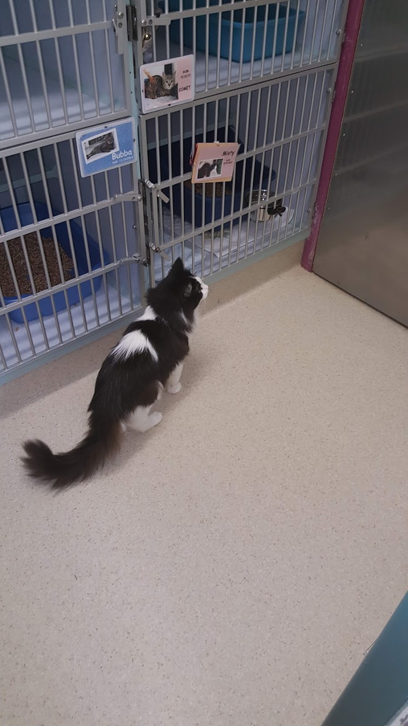 Oregon Coast Humane Society