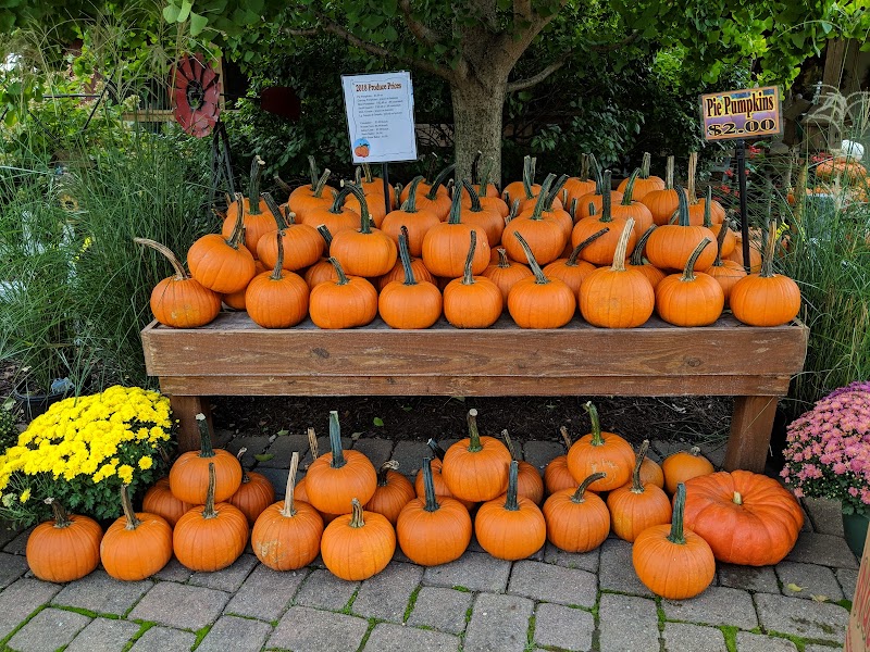 Boyert's Greenhouse and Farm