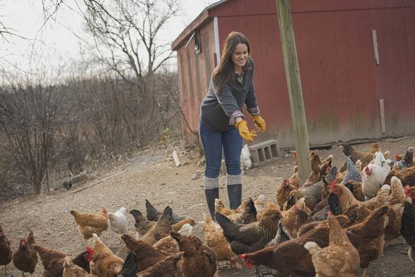 Clyde's Feeds and Needs