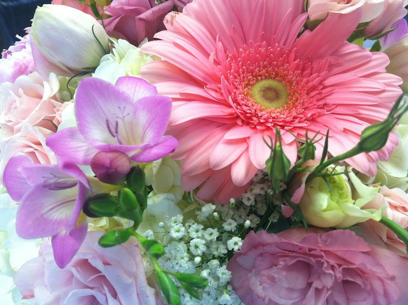 Expressions Floral & Gift Shoppe