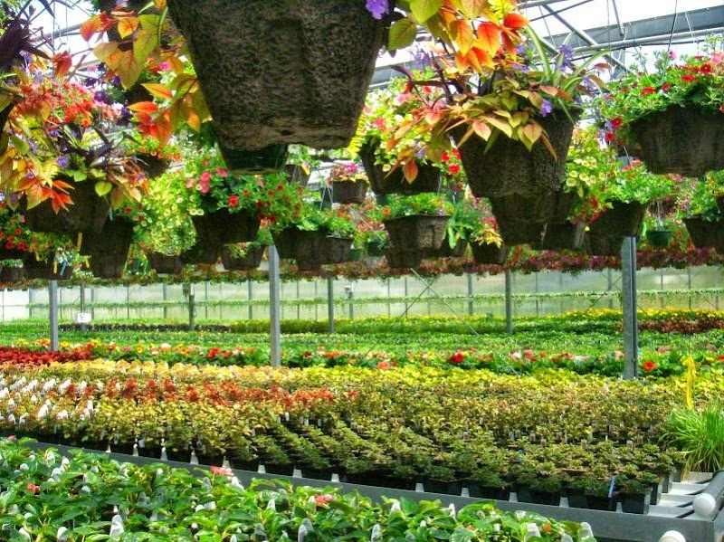 Lockwood's Greenhouses