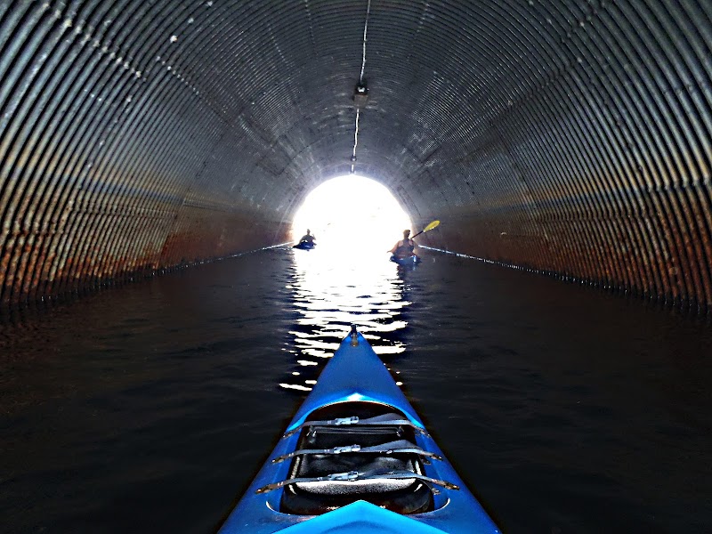 Golding Publications / The Friday Flyer