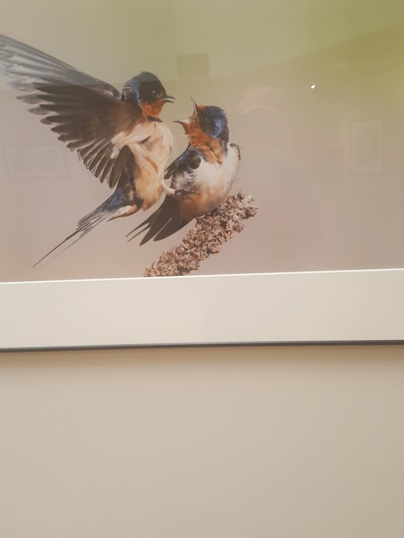 South Shore Art Center