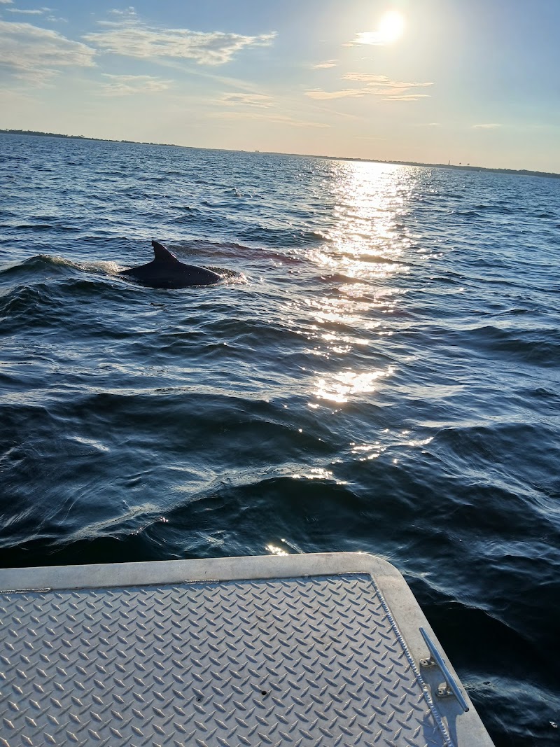 Ho2 Pensacola Dolphin Tours, Pontoons & More!