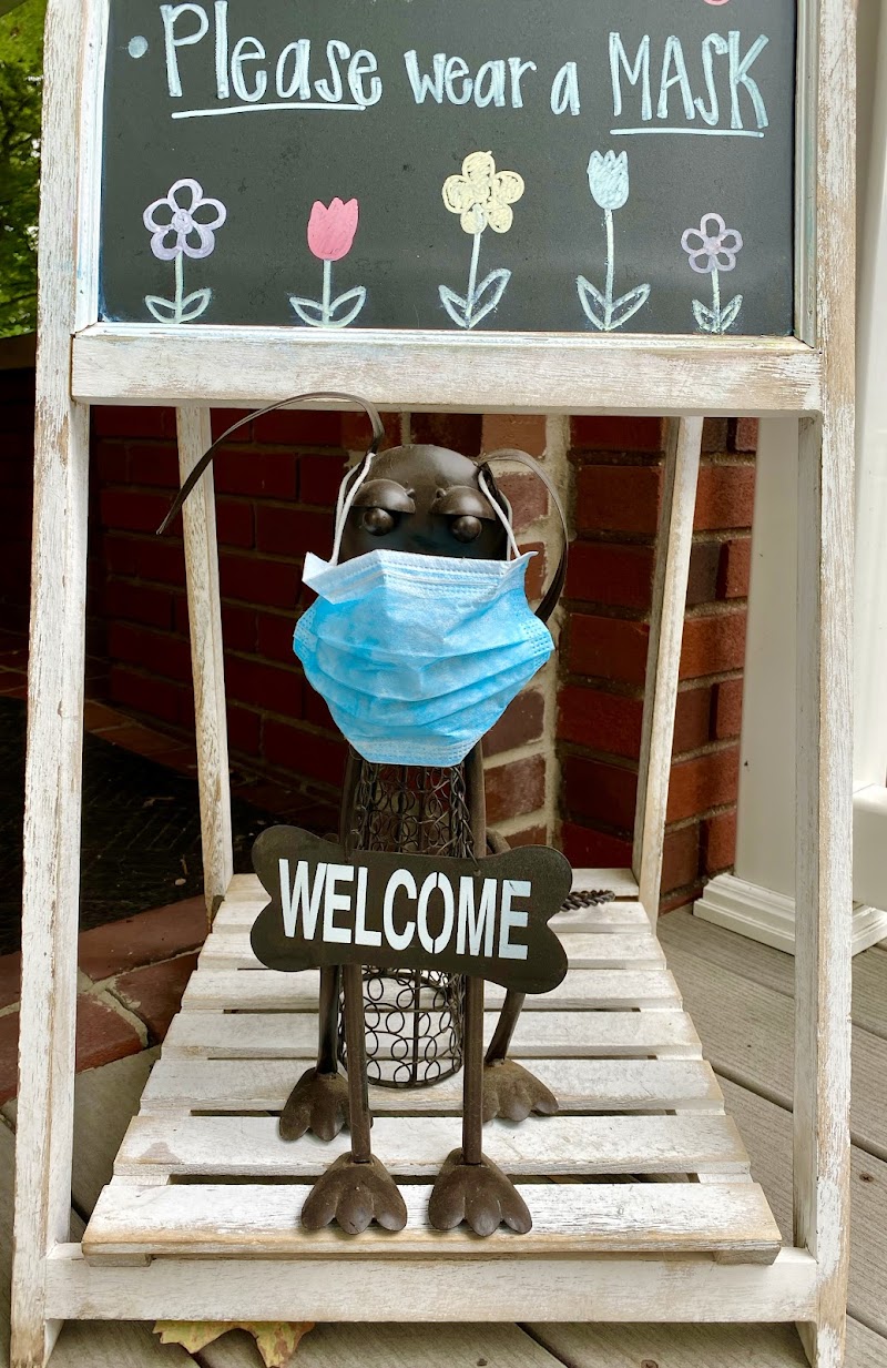 Doggy GoGo Kitty GaGa