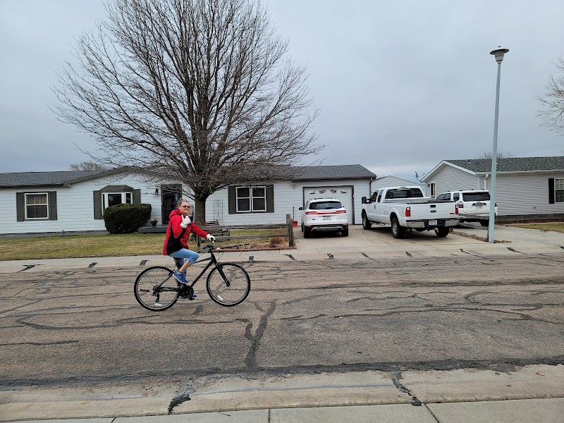 Whitetail Screen Print