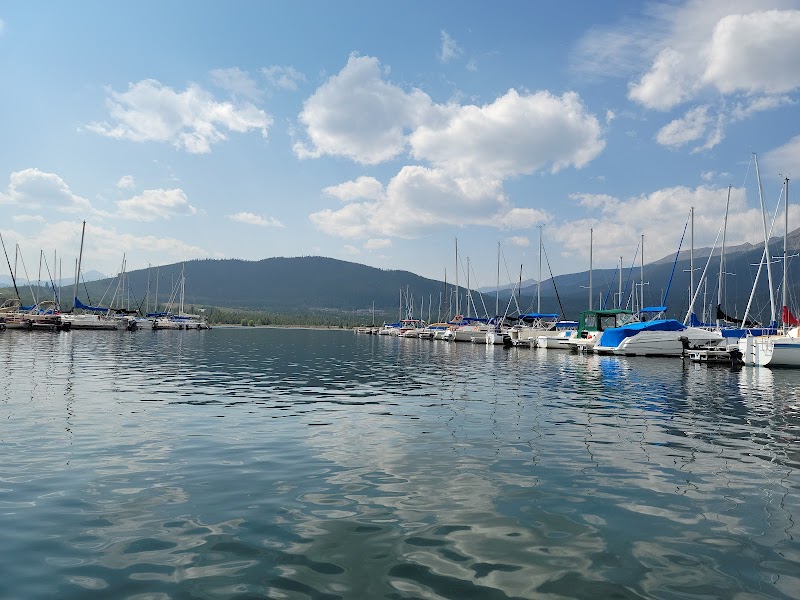 Share the Love, Dillon Stimulus