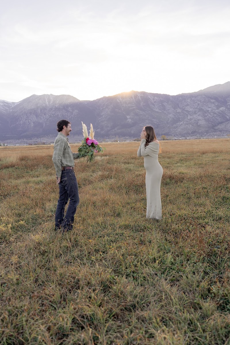 A Wildflower Florist