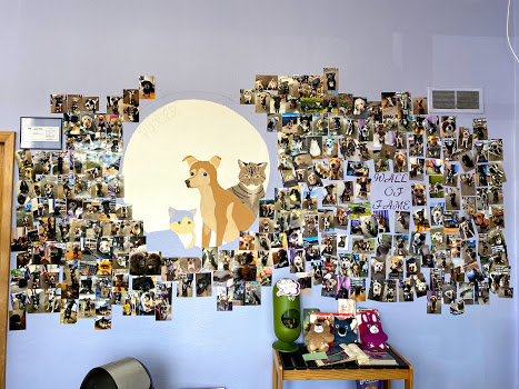 Purrz and Paws Pet Supply