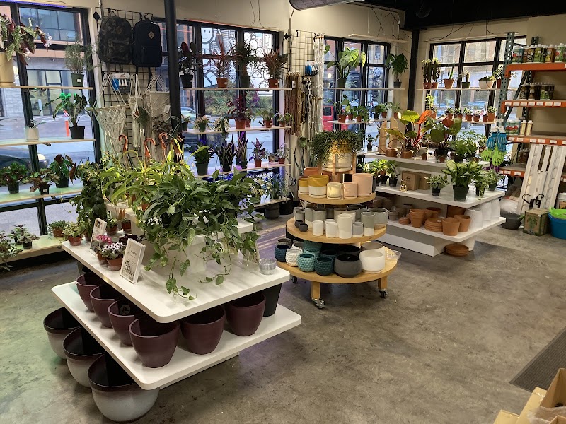 Garden Grove Organics