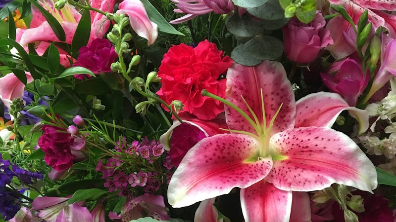 Jackons Florist & Gifts