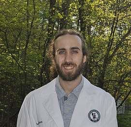 Mended Roots Acupuncture and Wellness