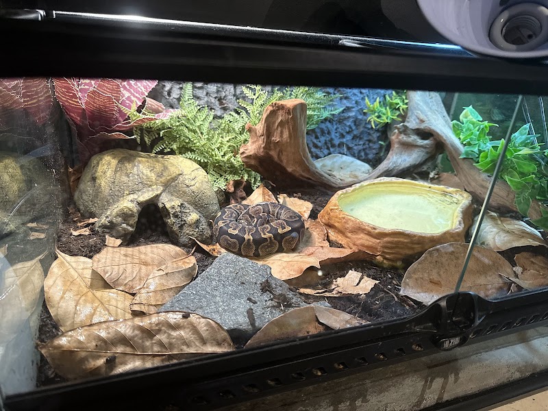 Bark & Branch Pet Supply Company