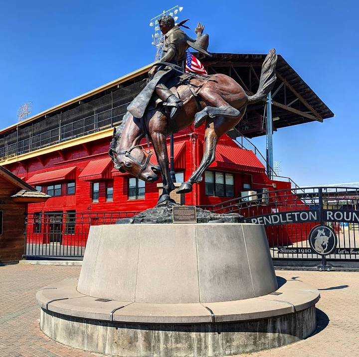 Pendleton Cowboy Christmas Ball