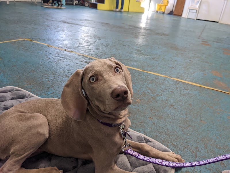 Central Ohio Muttessori School