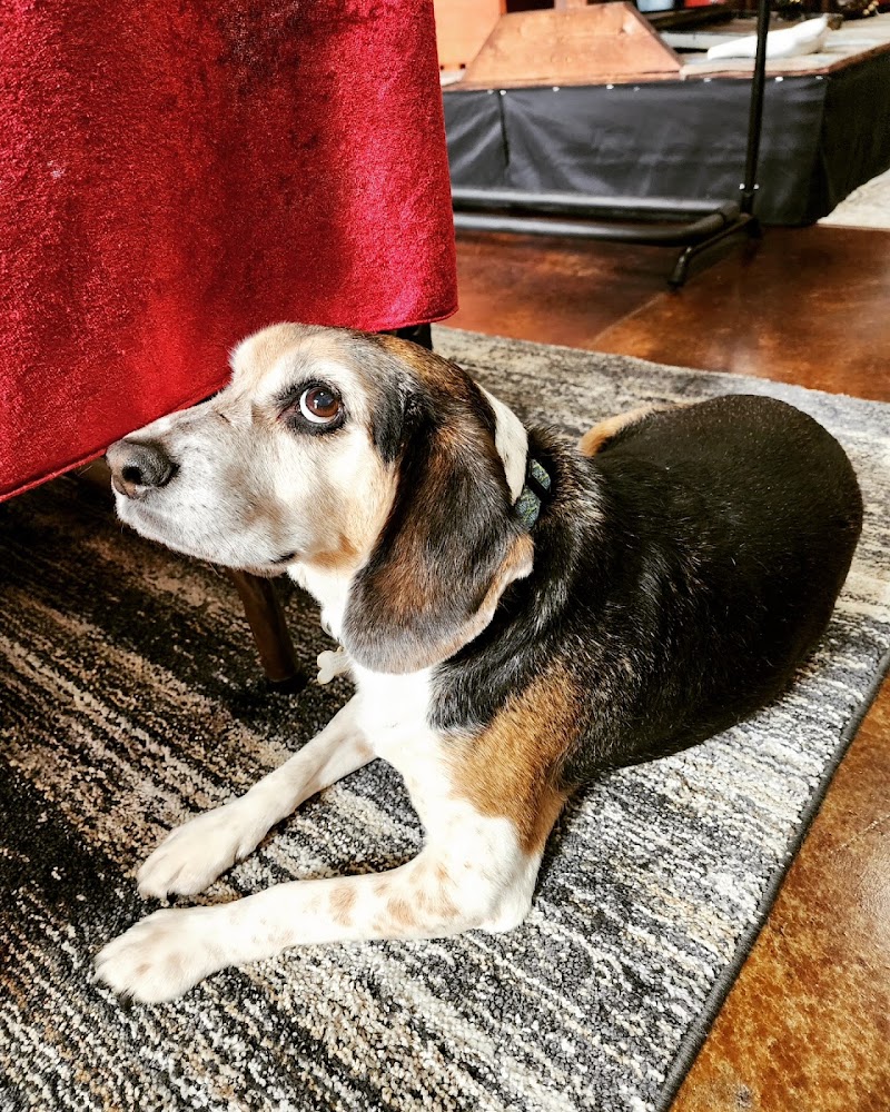 Jack's Guitarcheology