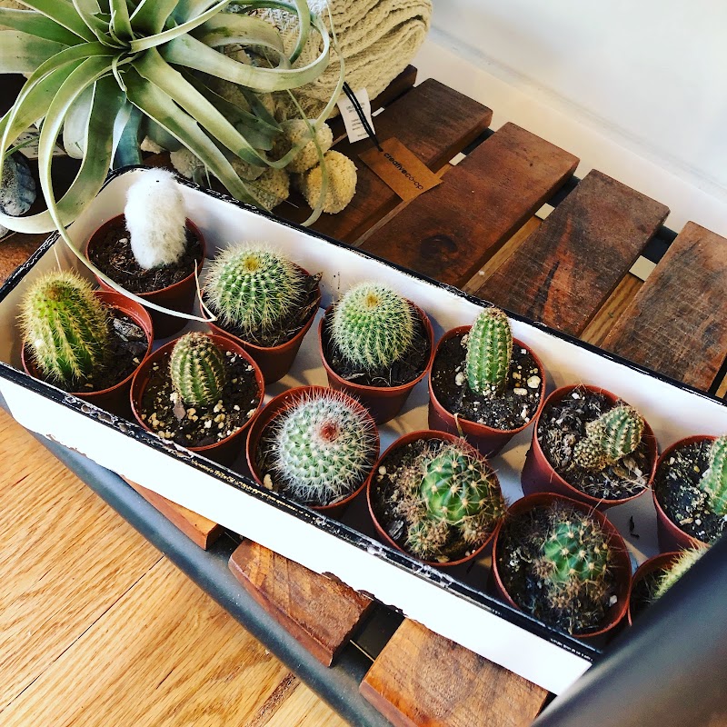 Sage Home Collections