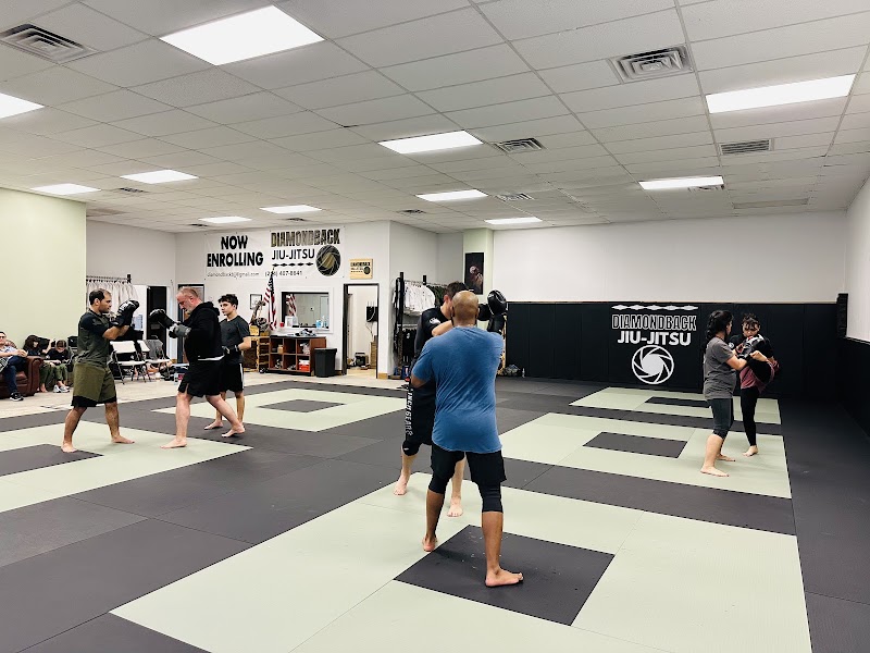 Diamondback Jiu-Jitsu