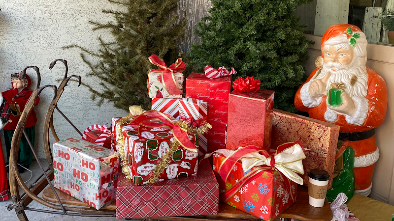 Crickets on South Main