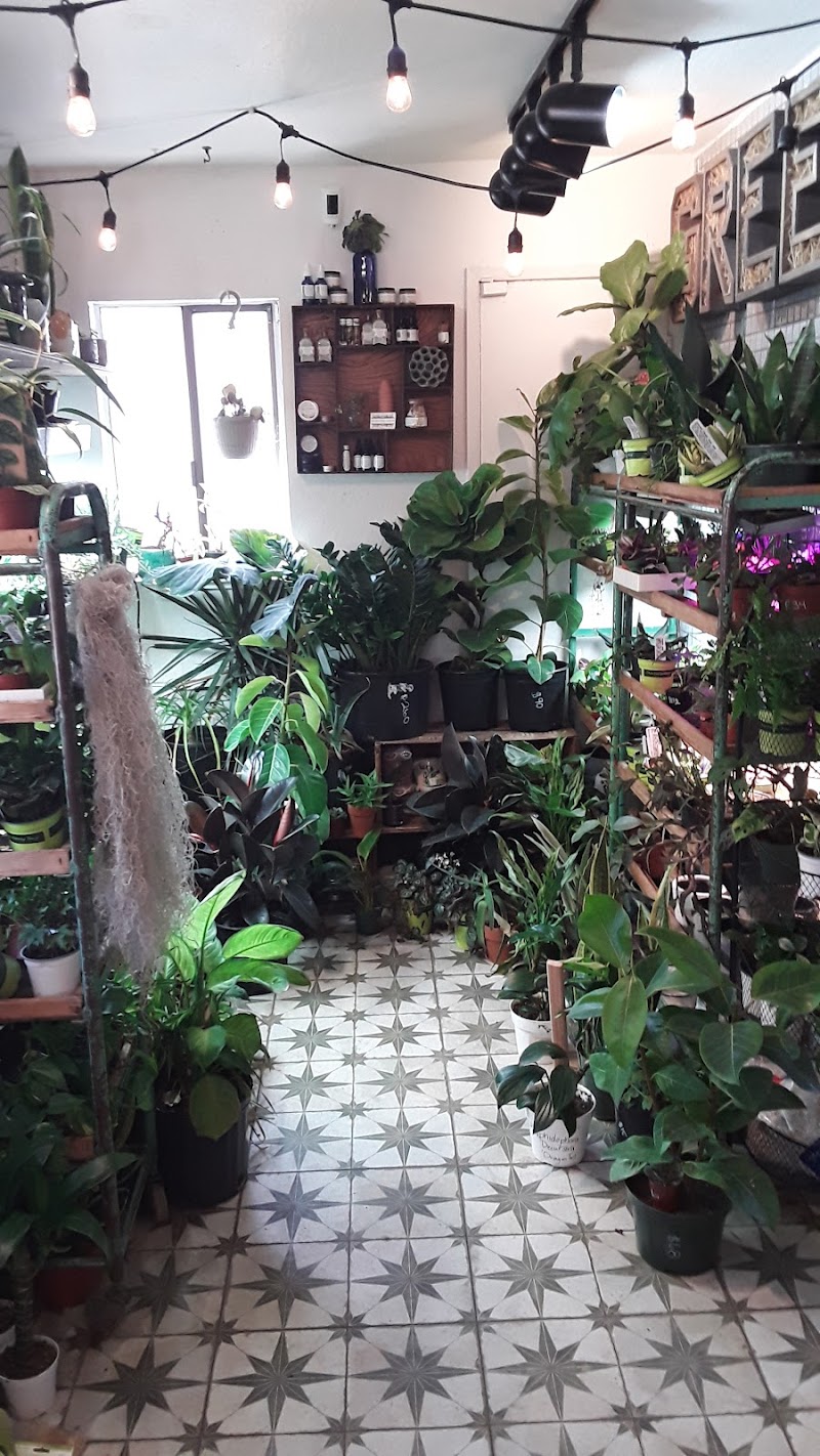 Botanical Arts Company