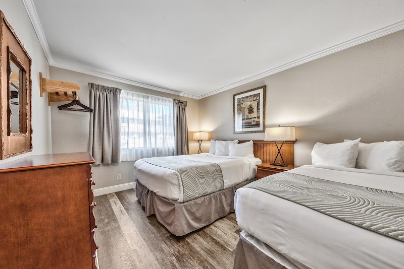 Forest Suites Resort