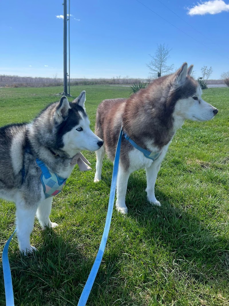 Pioneer Pet Services