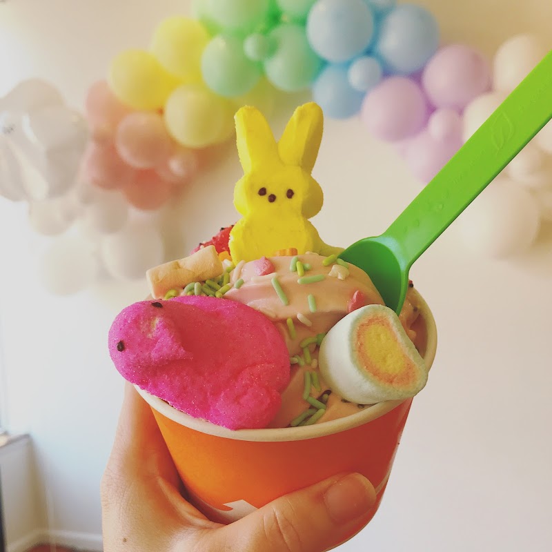 Lulu's Frozen Yogurt