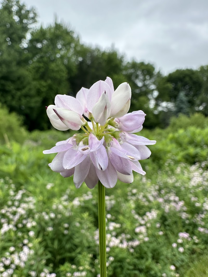Coralville Recreation Center