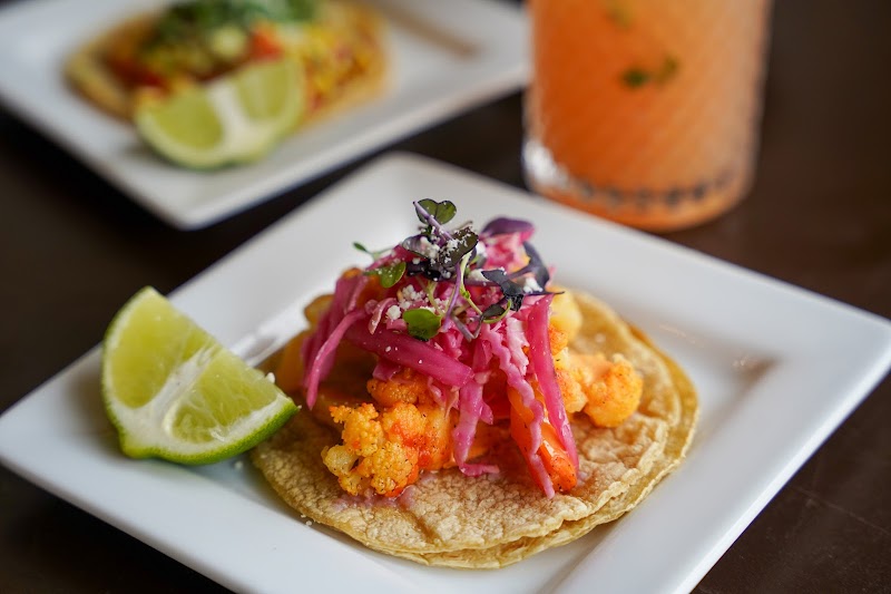 El Patron Tequileria