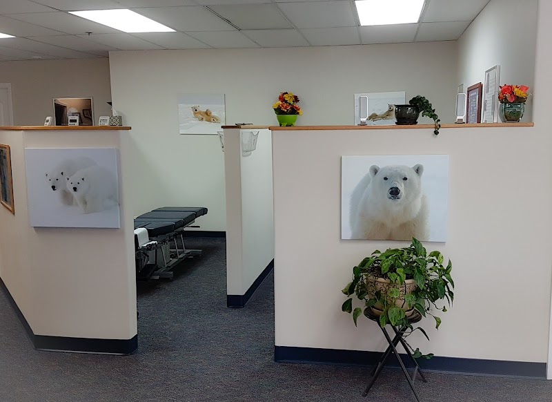 Arctic Chiropractic and Physical Medicine Kodiak 