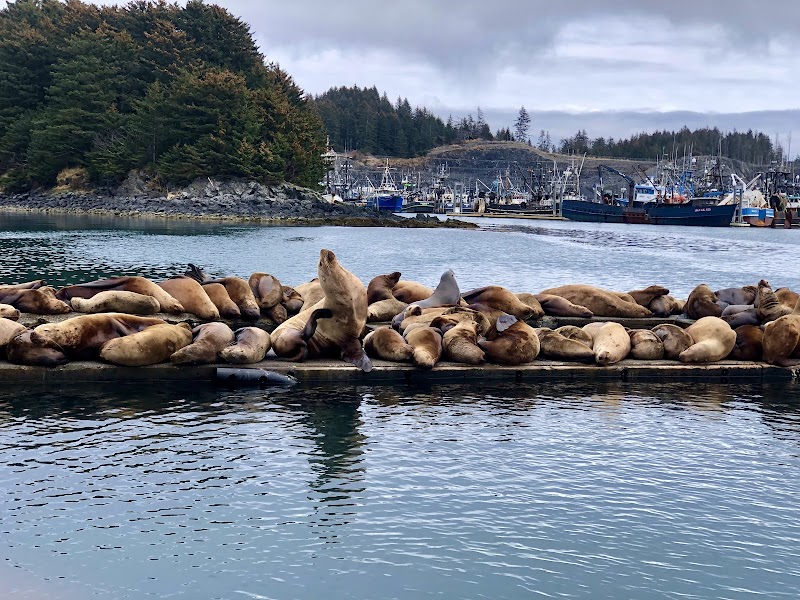 Kodiak Connections