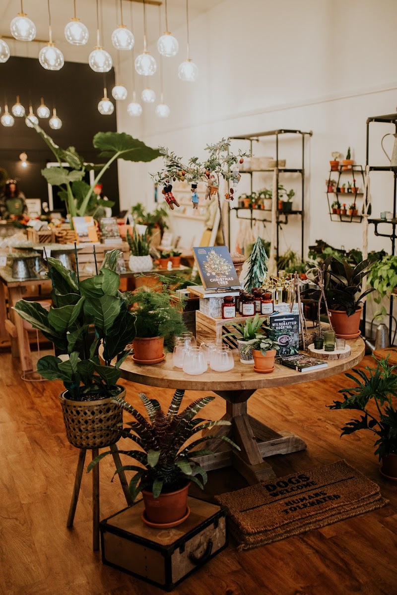 SWEETNESS & LIGHT FLOWERS & EVENTS