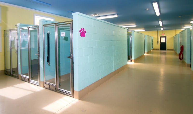 Animal Hospital of Old Saybrook