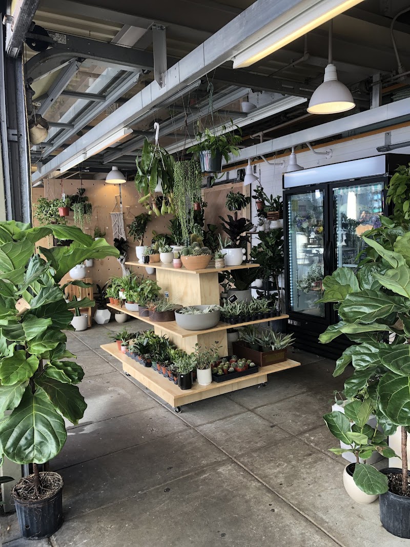 Gia & The Blooms (Findlay Market)