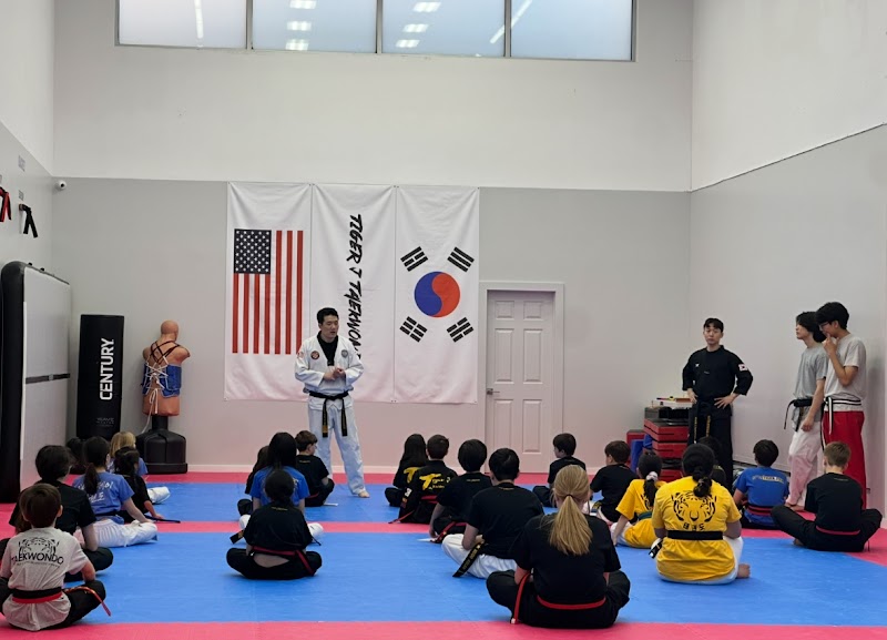 Tiger J Taekwondo