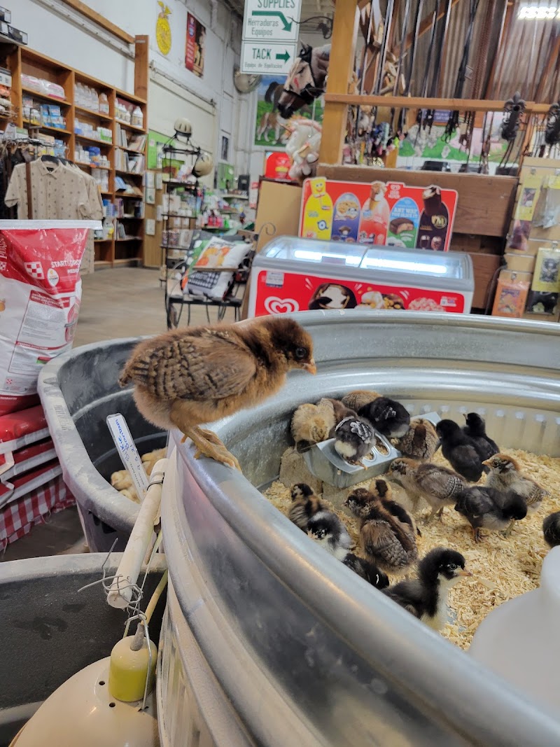 Hawthorne Country Store