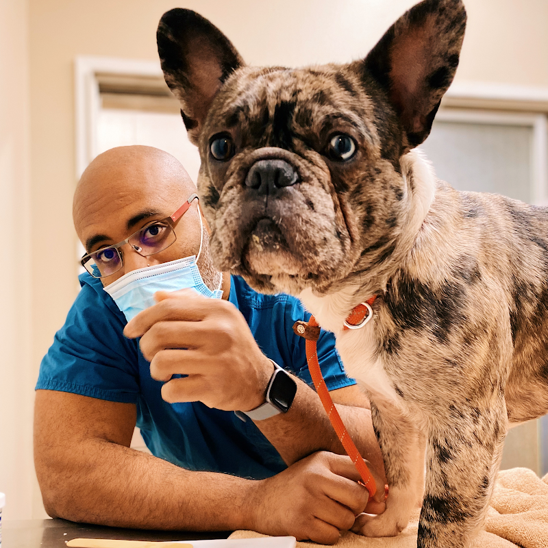 HAYWARD VETERINARY HOSPITAL