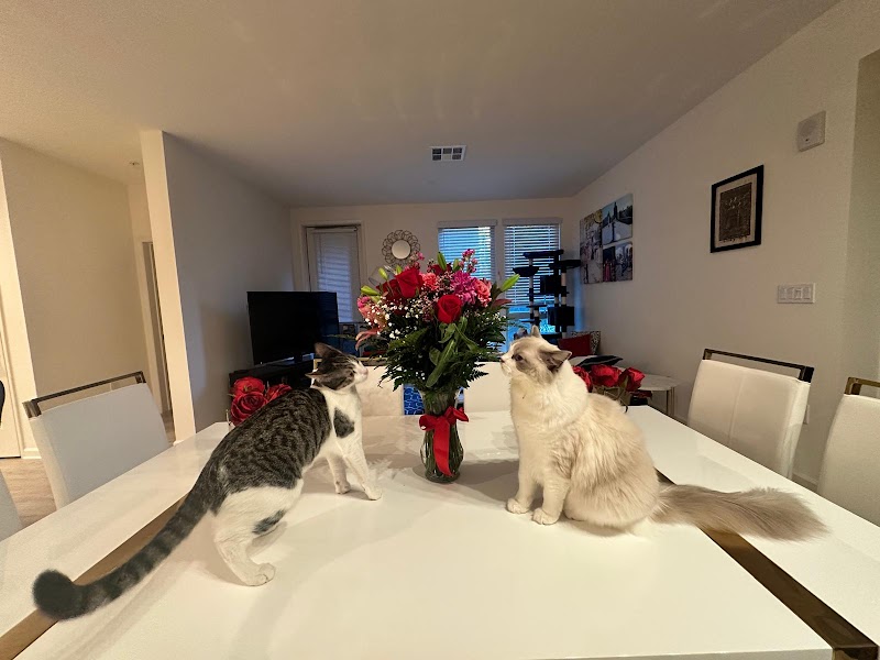 OAKBROOK FLORIST & Flower Delivery