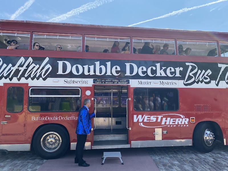Double Decker Bus Tour
