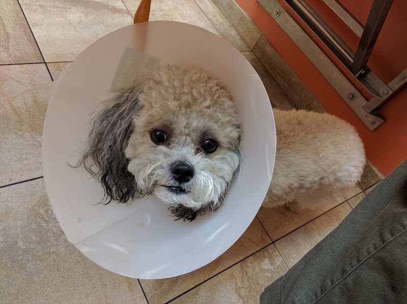 Christensen Animal Hospital