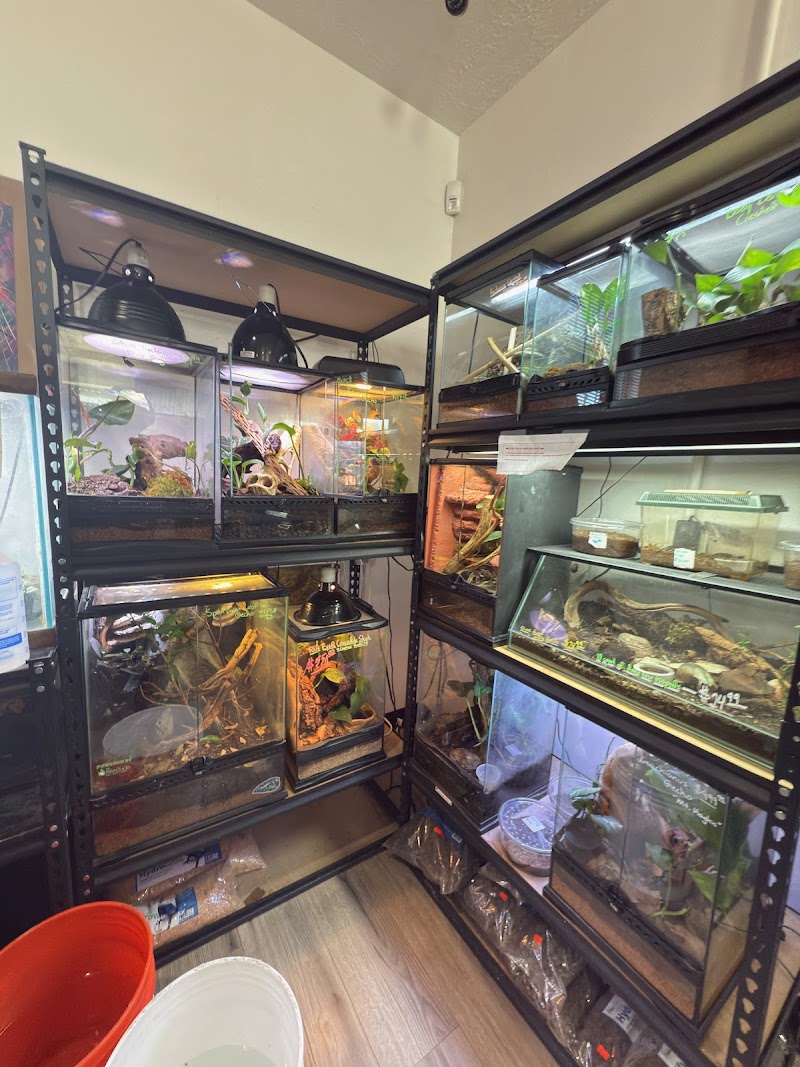 Predator and Prey Exotics 